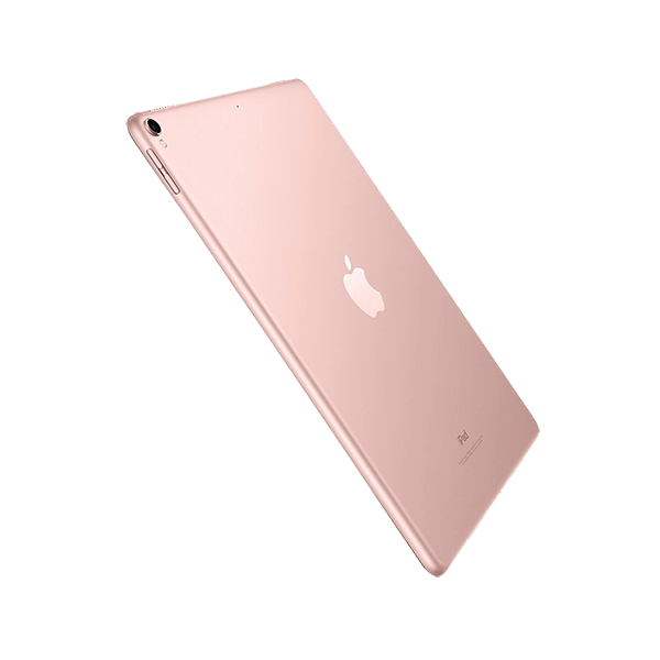 Cras viverra rhoncus - Image 2