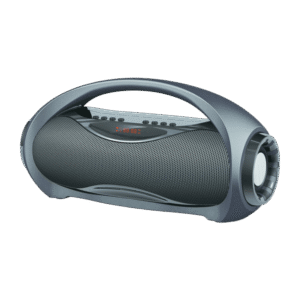 Fusce ullamcorper dapibus