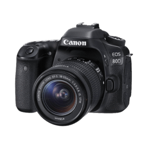 Vestibulum ante ipsum primis Vestibulum ante ipsum primis