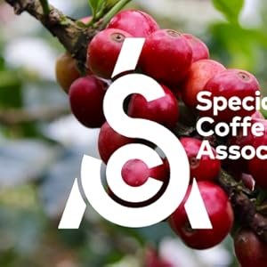Specialty Coffee Association Certified