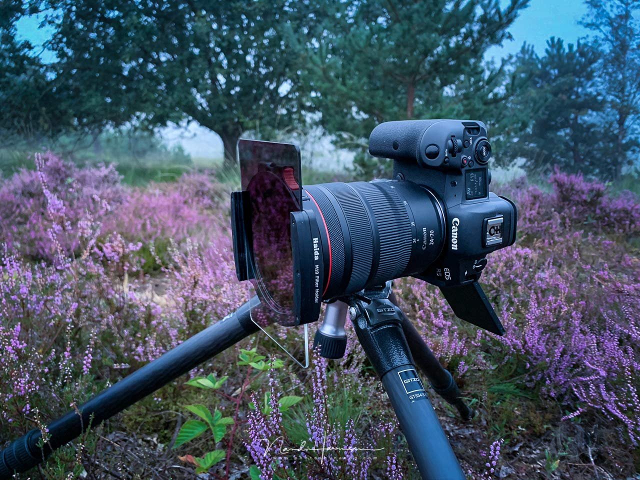 Canon EOS R5 45MP Full-Frame Mirrorless Camera Body (8K RAW & 4K 120p Video) - Black - Image 5